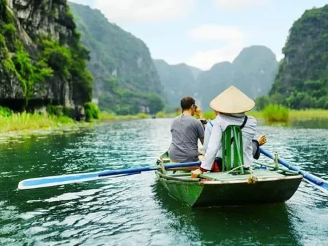 Báo cáo tổng kết hoạt động Vitea năm 2021